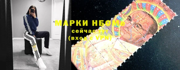 твердый Алзамай